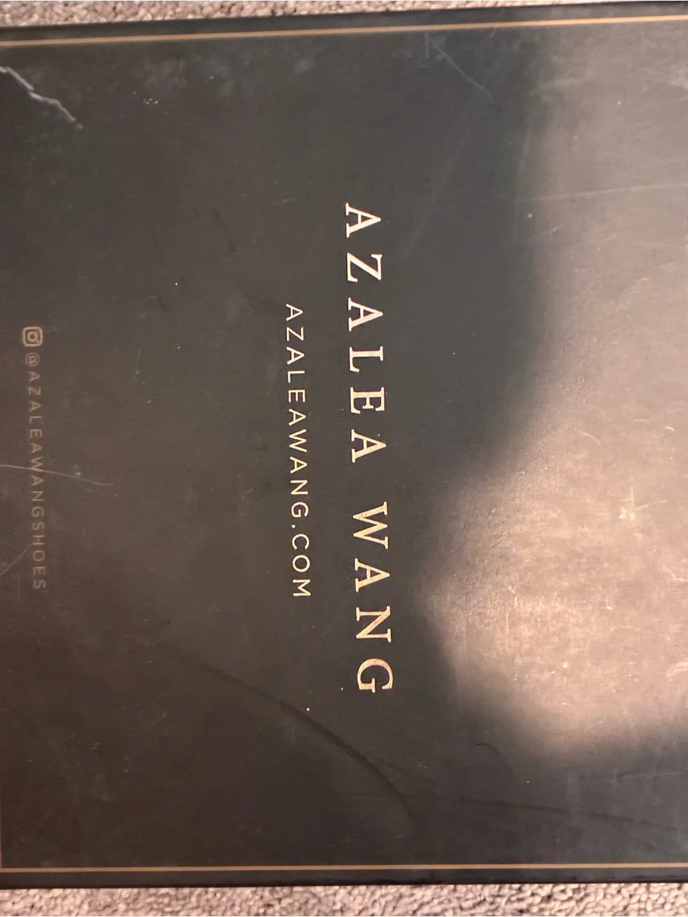 AZALEA WANG Adaline Platform Heel